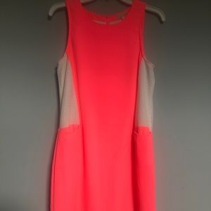 Gianni Bini neon pink dress